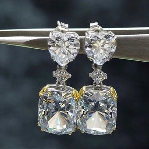 Drop Dangle Fashion Earrings